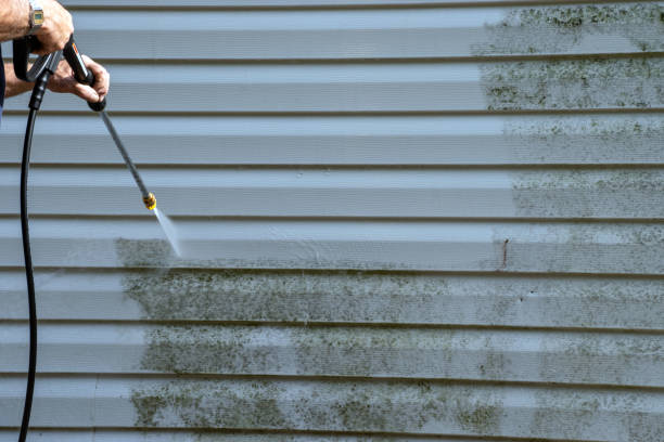Best Construction Debris Removal  in Alexandria, LA
